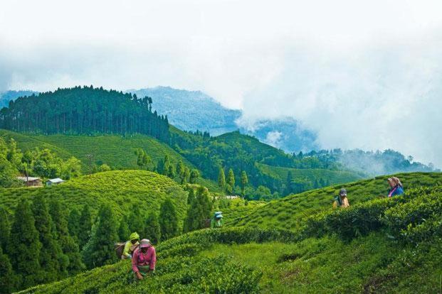 Hotel Central View - Darjeeling Dardzsiling Kültér fotó